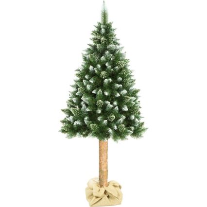 Kerstboom op stam 180 cm den