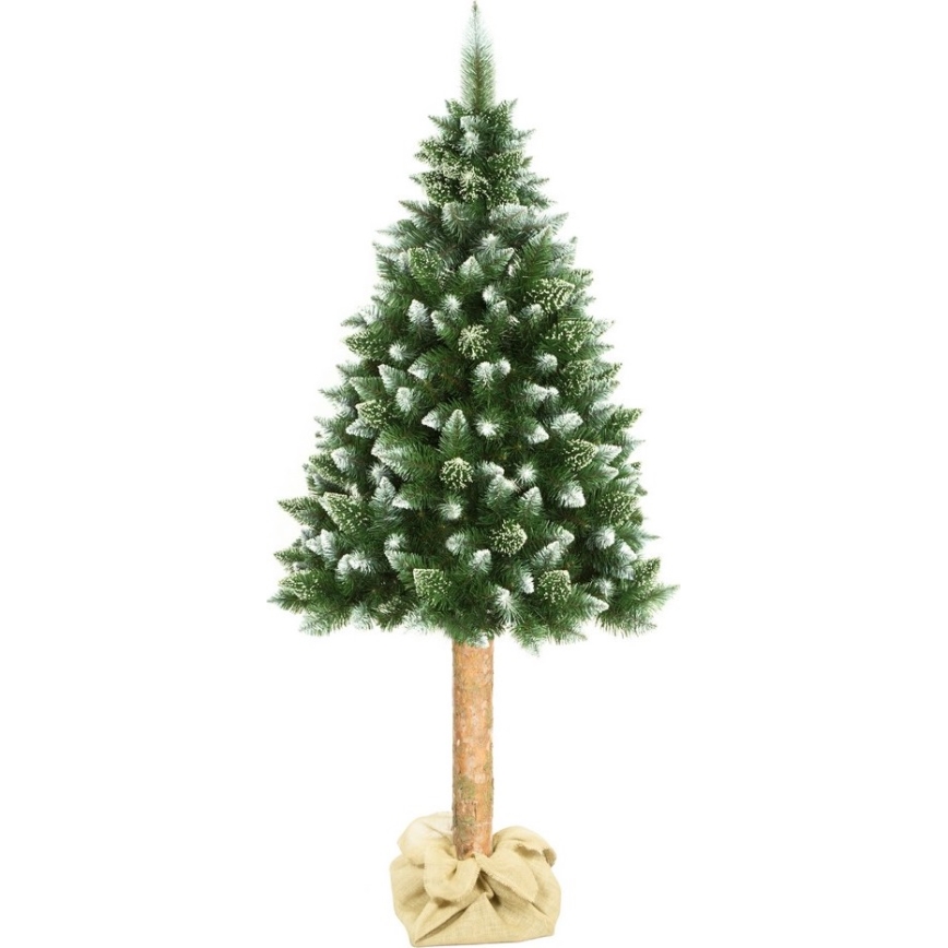 Kerstboom op stam 180 cm den