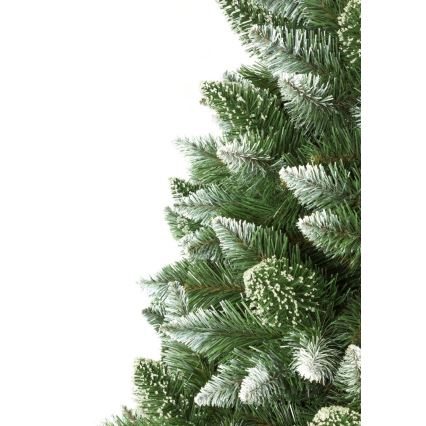 Kerstboom op stam 180 cm den