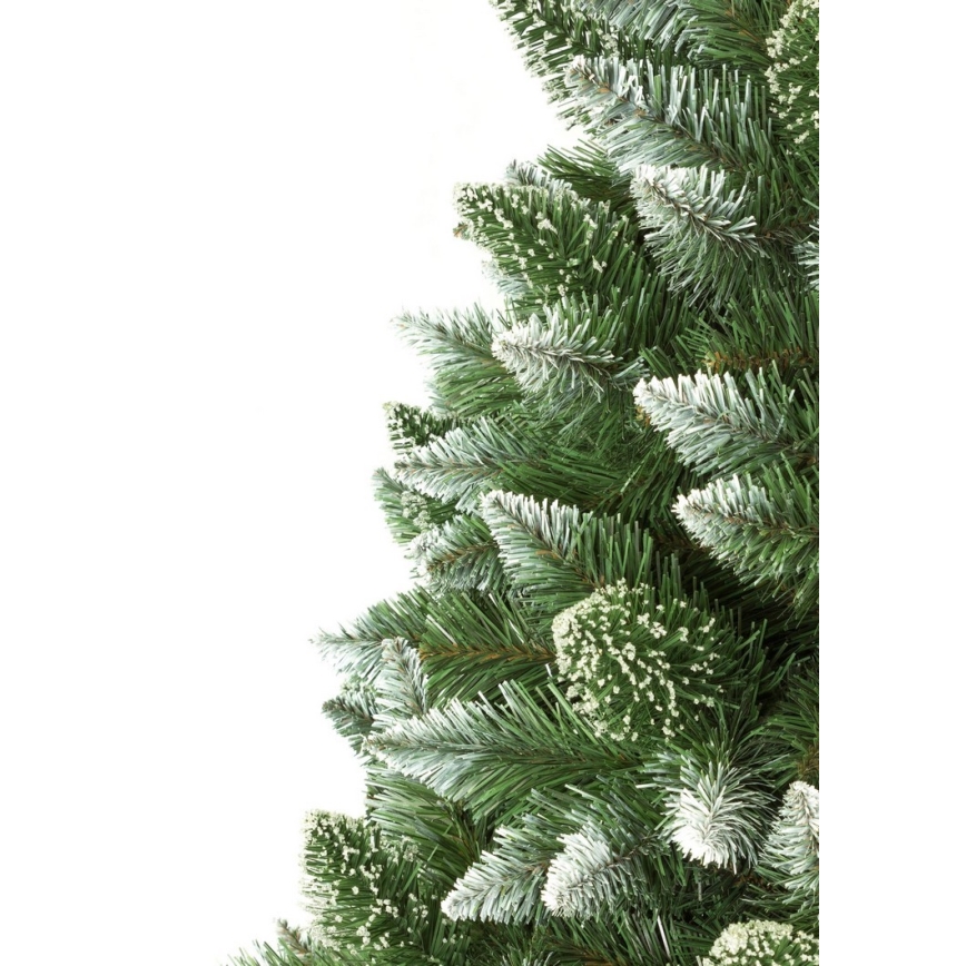Kerstboom op stam 180 cm den