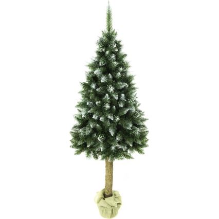 Kerstboom op stam 180 cm spar