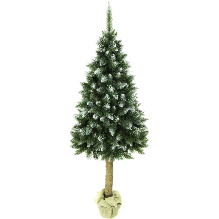 Kerstboom op stam 180 cm spar