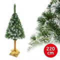 Kerstboom op stam 220 cm den