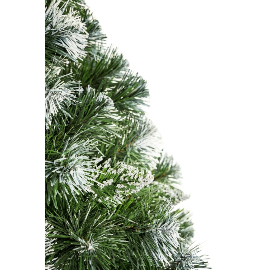 Kerstboom op stam 220 cm den
