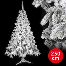 Kerstboom RON 250 cm Nordman spar