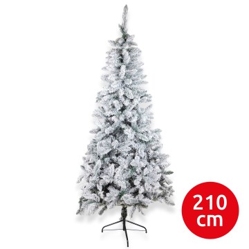 Kerstboom SCOTLAND 210 cm (spar)