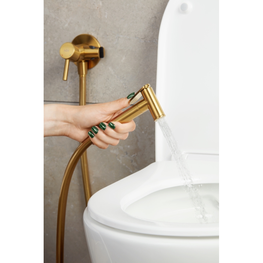 KFA Armatura 5039-512-31 - Bidetkraan met douche voor inbouwmontage MOZA Grond goud