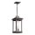 Kichler - Hanglamp aan een ketting voor buiten SOUTH HOPE 1xE14/60W/230V IP44