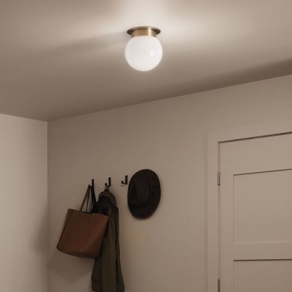 Kichler KL-ALBERS-F-G-CPZ-Plafondlamp ALBERS 1xE27/40W/230V Ø20,3 cm goudkleurig