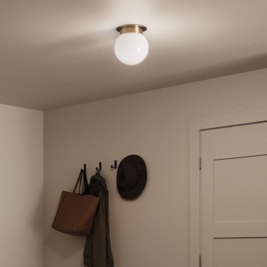 Kichler KL-ALBERS-F-G-CPZ-Plafondlamp ALBERS 1xE27/40W/230V Ø20,3 cm goudkleurig