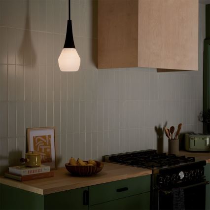 Kichler - Plafondlamp met stang DEELA 1xE27/60W/230V Ø 17,8 cm zwart