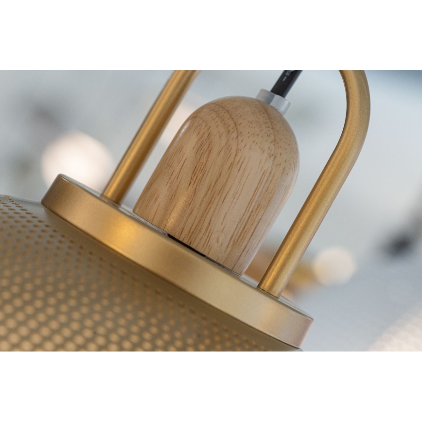 Hanglamp aan een koord GRAVEN 1xE27/11W/230V gouden
