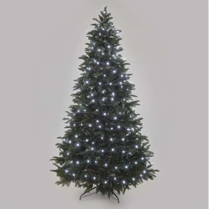 Koel Wit LED Kerst buitenketting 500x LED / 55m IP44