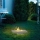 Kratki - BIO haard 40,2x70 cm 2kW wit