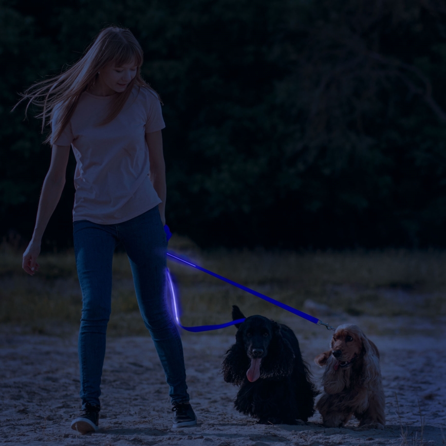 Laisse rechargeable 120 cm LED 2xCR2032/5V/40 mAh bleu