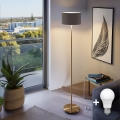 Lampadaire LED TUNJA 1xE27/20W/230V Ø 30 cm doré/marron