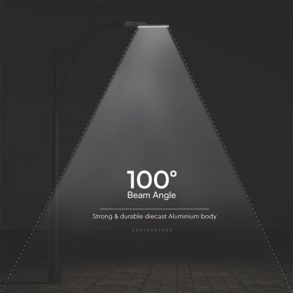 Lampadaire SAMSUNG CHIP LED/100W/230V 6500K IP65