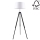 Lampadaire TRIPOD 1xE27/60W/230V hêtre - certifié FSC