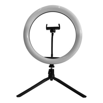 Lampe à intensité variable avec trépied et support pour vlogging LED/10W/5V 3200-5500K