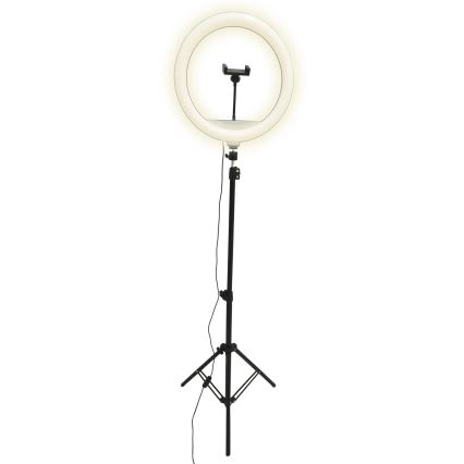 Lampe à intensité variable avec trépied et support vlogging LED/15W/5V 2700-6500K