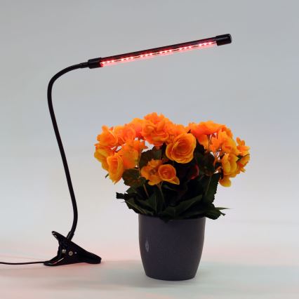 Lampe à pince à intensité variable pour éclairer les plantes LED/3W/230V noir