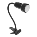 Lampe avec une pince LOLEK 1xE14/24W/230V noire