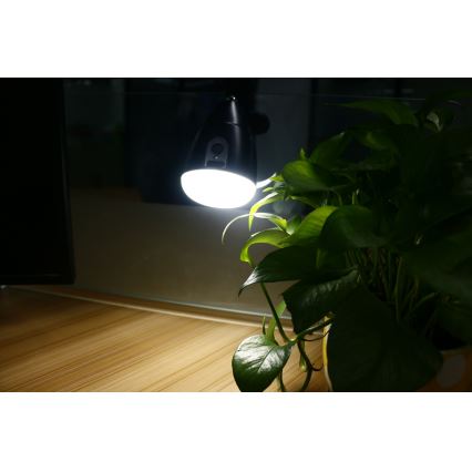 Lampe CLIP avec chargeur USB LED/5W/5V 4000K