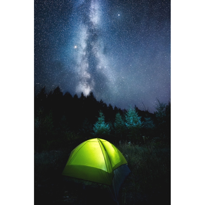 Lampe CLIP avec chargeur USB LED/5W/5V 4000K