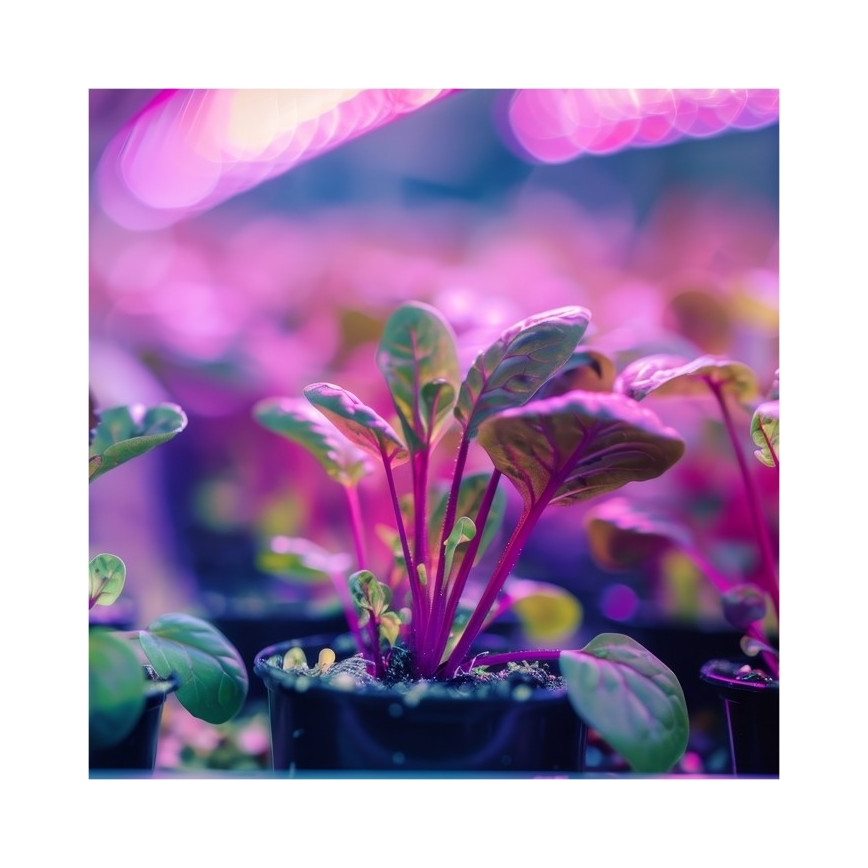 Lampe de bureau flexible avec pince pour culture de plantes PLANTY 1xE27/30W/230V blanc