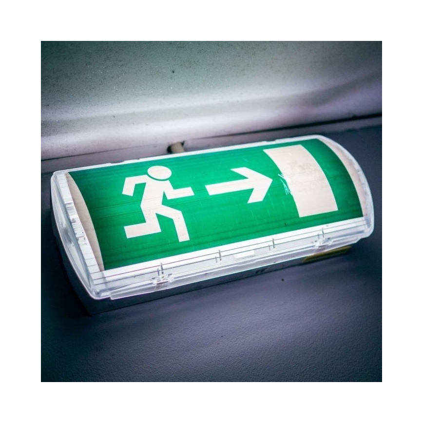 Lampe de secours EMERGENCY EXIT LED/3W/230V IP65 6000K 1200mAh