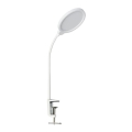 Lampe de table à intensité variable LIPA LED/10W/230V 3000-6000K blanc