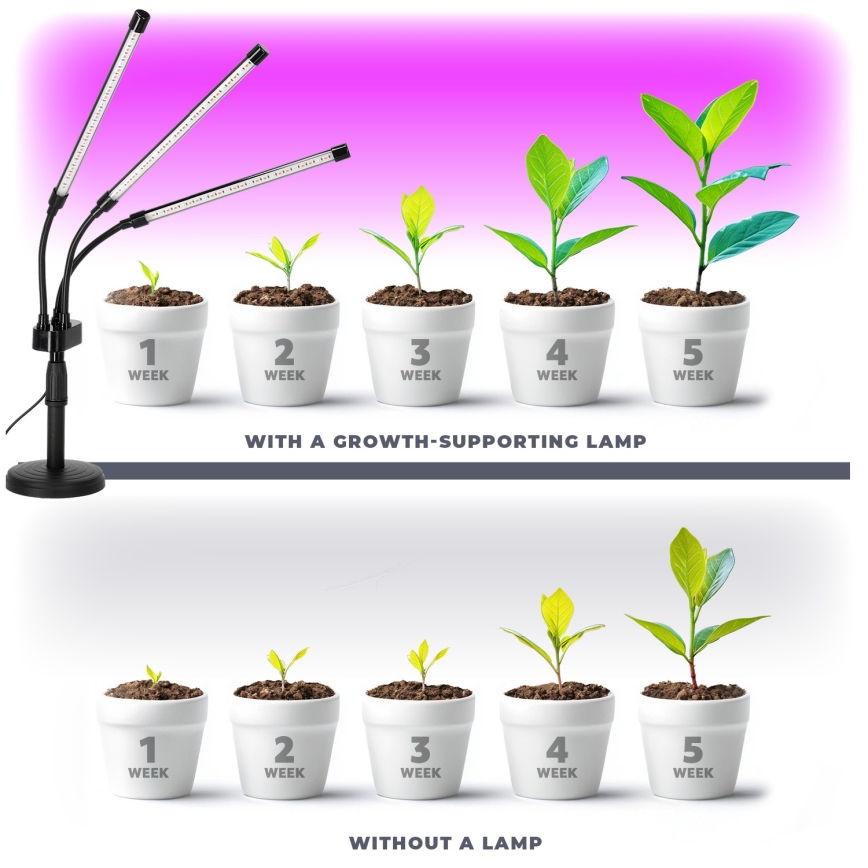 Lampe de table flexible à intensité variable pour la culture de plantes VITARO 3xLED/10W/230V noir