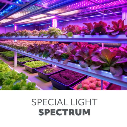 LED à intensité variable flexible lampe de table pour la culture des plantes VITARO 4xLED/10W/230V noir