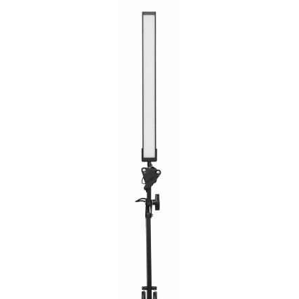 Lampe de table à pince LED/10W/230V 2800-6800K