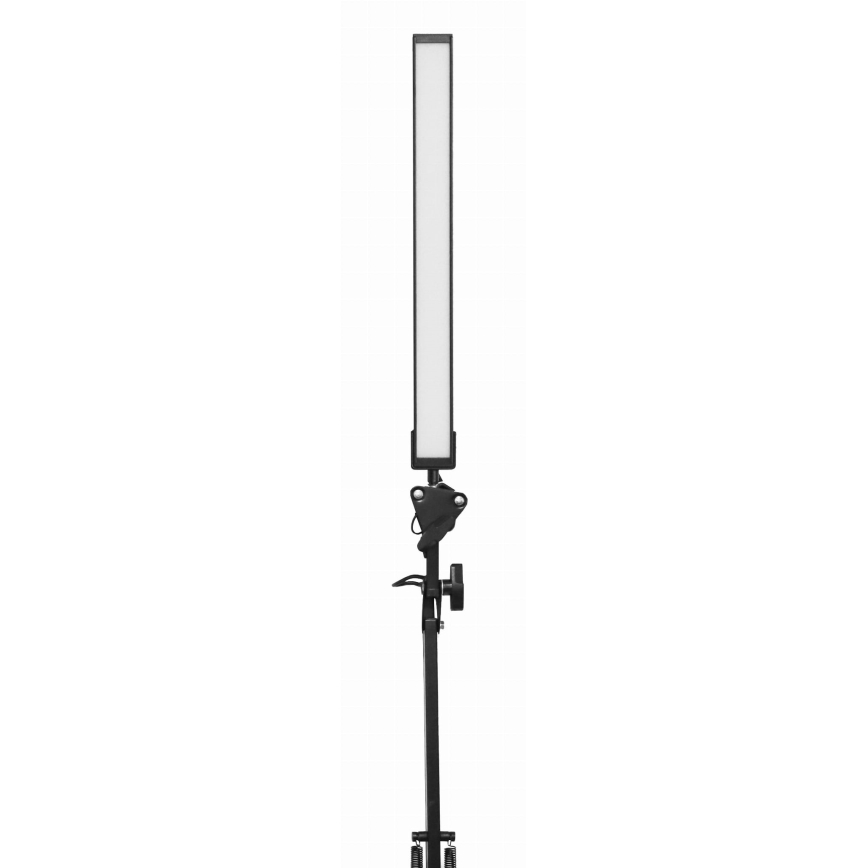 Lampe de table à pince LED/10W/230V 2800-6800K