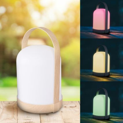 Lampe de table décorative LED RGBW MINORKA LED/0,3W/4,5V 3xAA