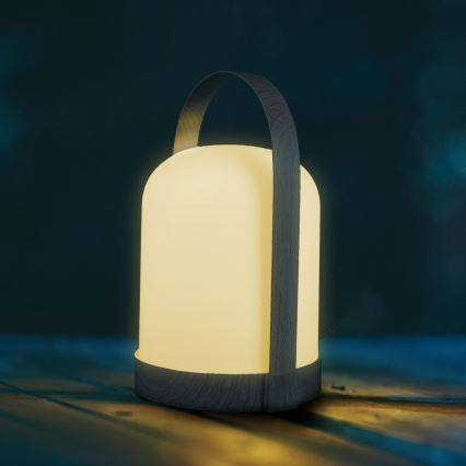 Lampe de table décorative LED RGBW MINORKA LED/0,3W/4,5V 3xAA