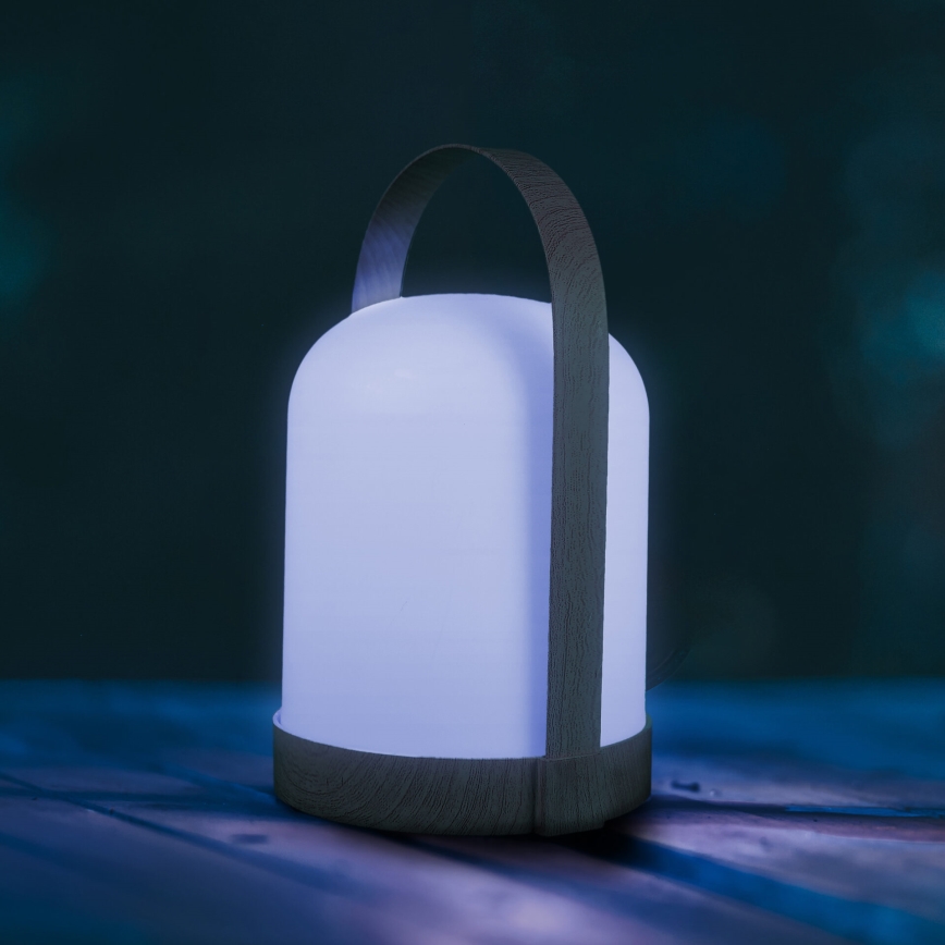 Lampe de table décorative LED RGBW MINORKA LED/0,3W/4,5V 3xAA