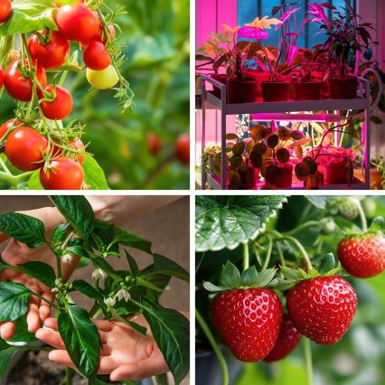 Lampe de table LED flexible et dimmable pour la culture des plantes VITARO 4xLED/10W/230V, noire