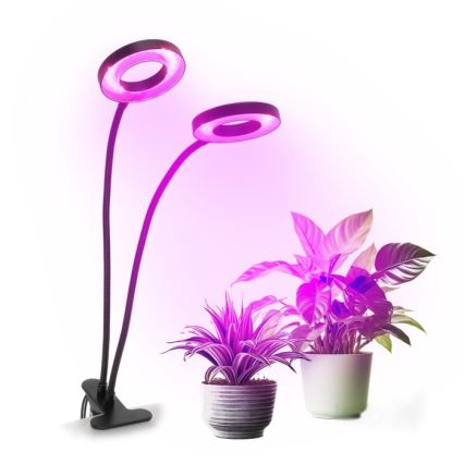 Lampe de table flexible à intensité variable avec pince pour la culture de plantes VITARO 2xLED/4W/230V noir