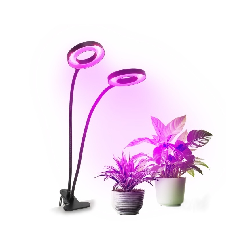 Lampe de table flexible à intensité variable avec pince pour la culture de plantes VITARO 2xLED/4W/230V noir