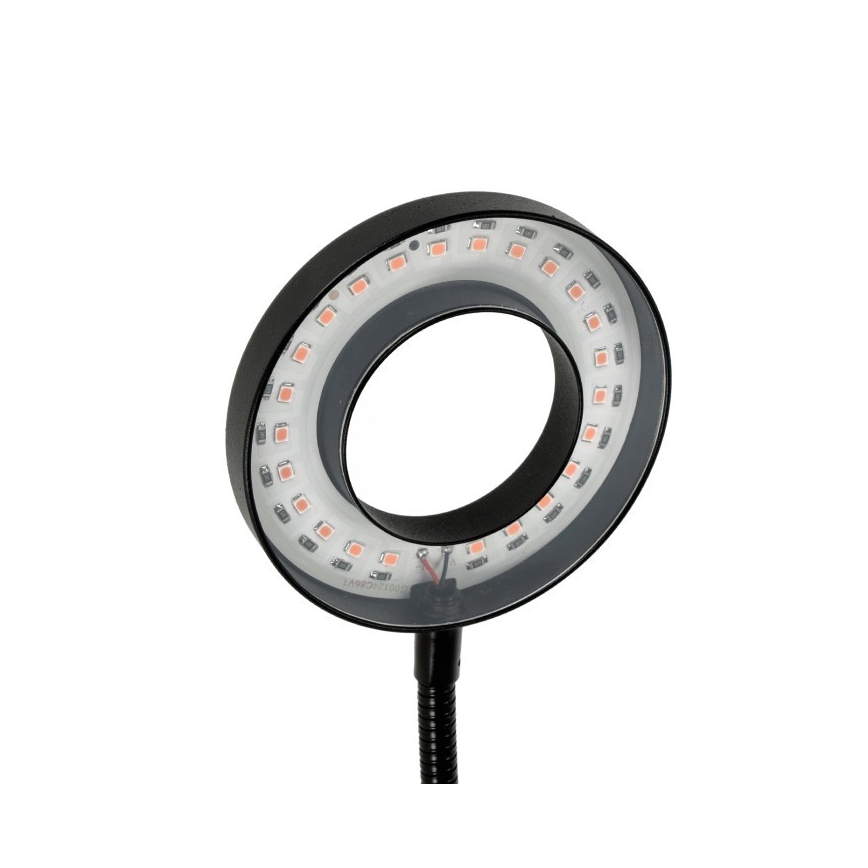 Lampe de table flexible à intensité variable avec pince pour la culture de plantes VITARO 2xLED/4W/230V noir