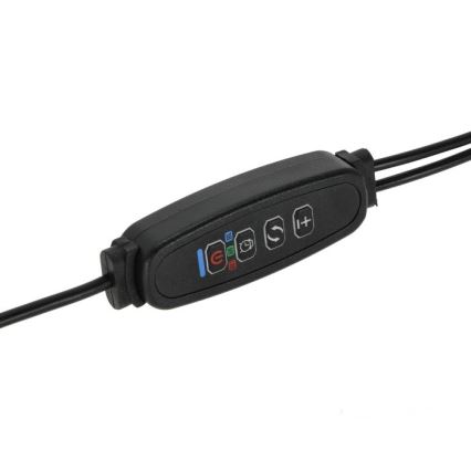 Lampe de table flexible à intensité variable avec pince pour la culture de plantes VITARO 2xLED/4W/230V noir