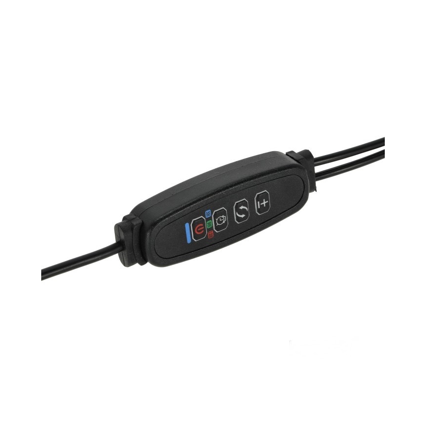 Lampe de table flexible à intensité variable avec pince pour la culture de plantes VITARO 2xLED/4W/230V noir