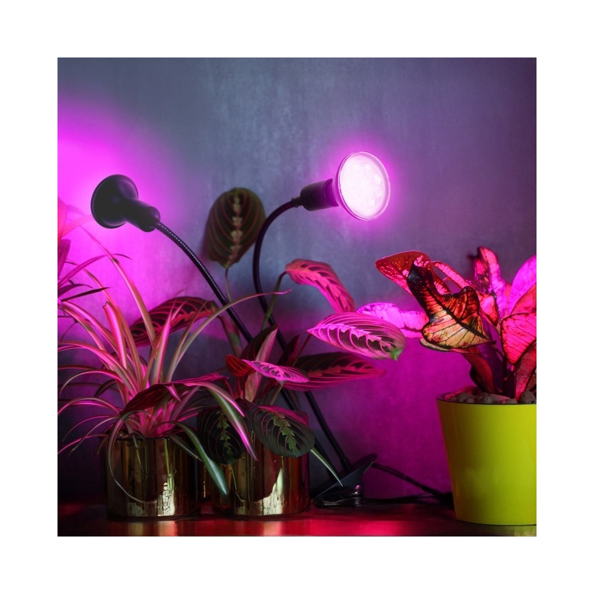Lampe de table flexible avec pince pour la culture de plantes PLANTY 2xE27/30W/230V noir