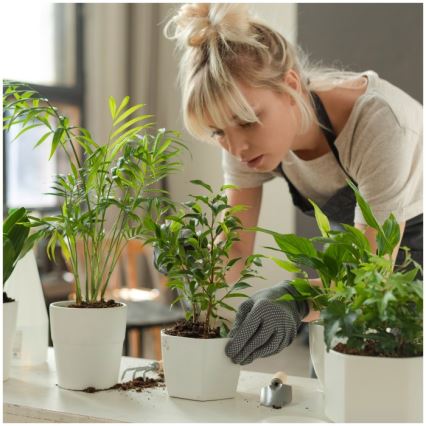 Lampe de table LED dimmable pour culture de plantes VERDI LED/5W/5V 1300K IRC 95 blanche