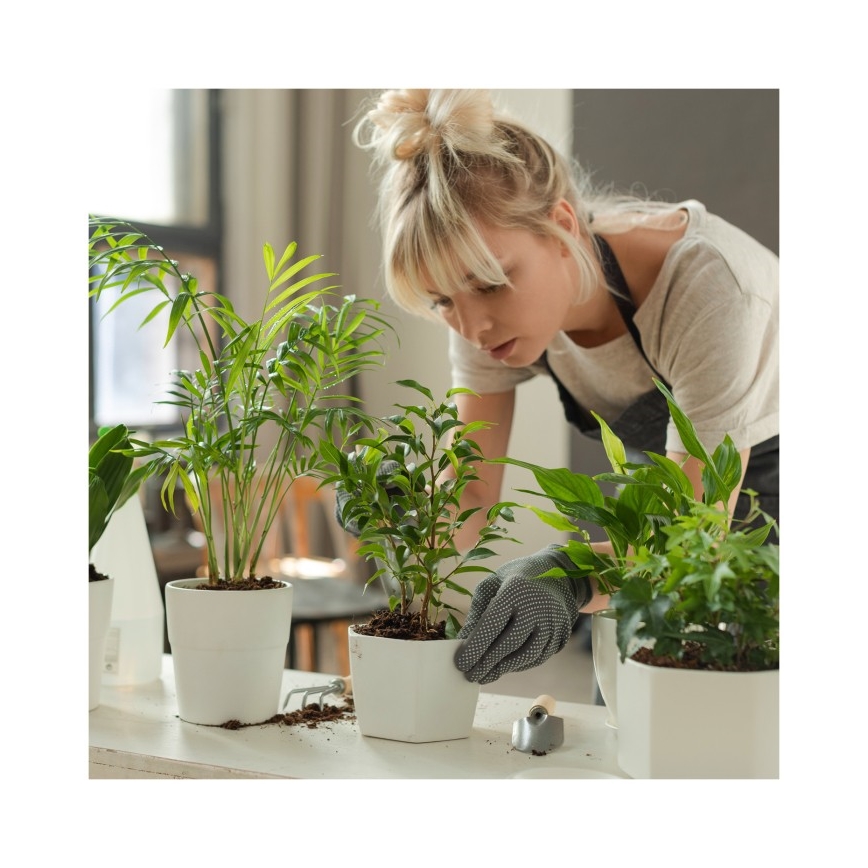 LED Lampe de table dimmable pour culture de plantes VERDI LED/5W/5V 1300K IRC 95 noire