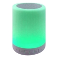 Lampe de table LED RGB avec haut-parleur LED/5V