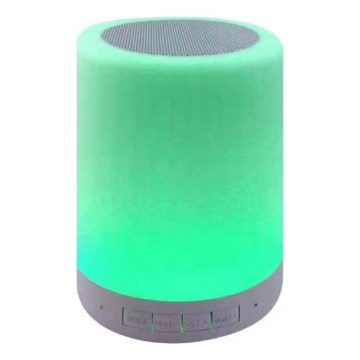 Lampe de table LED RGB avec haut-parleur LED/5V