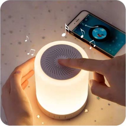 Lampe de table LED RGB avec haut-parleur LED/5V